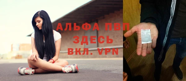не бодяженный Гусев