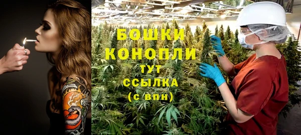 не бодяженный Гусев